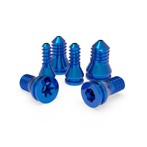 Subtalar Joint Stabilization Screw